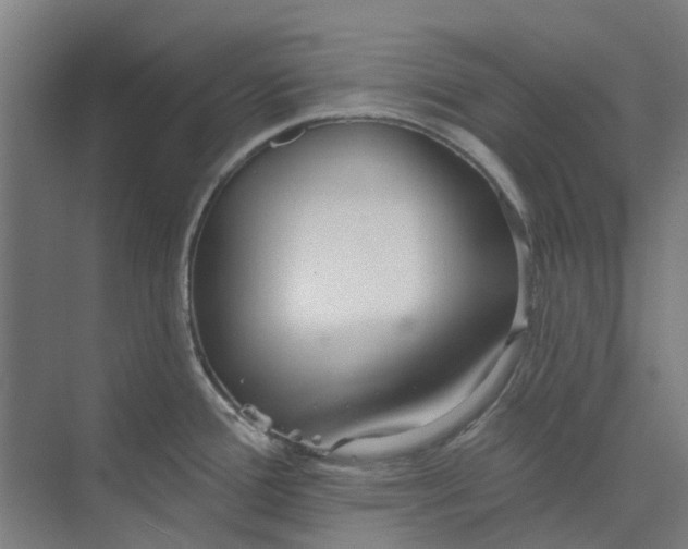 X0000073951388200609111639