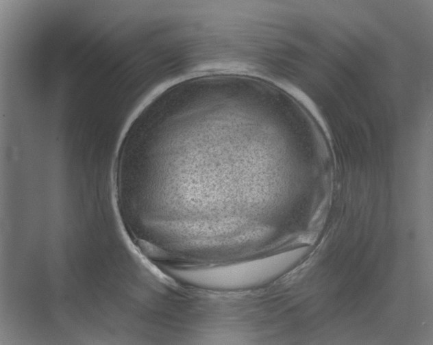 X0000073951389200609111639