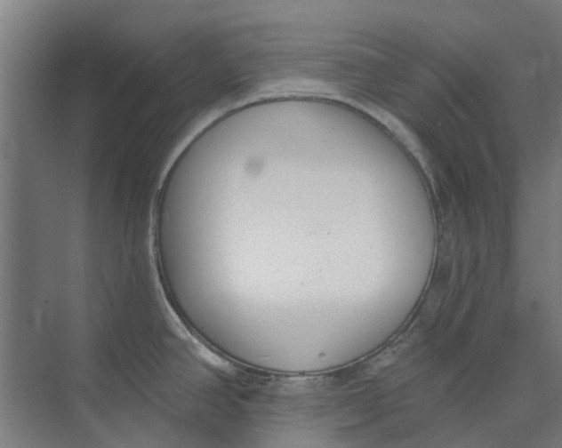 X0000073951390200609111639