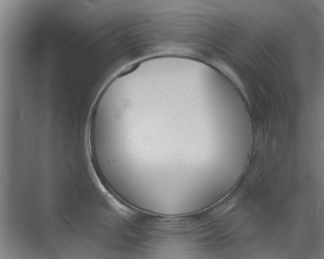 X0000073951391200609111639