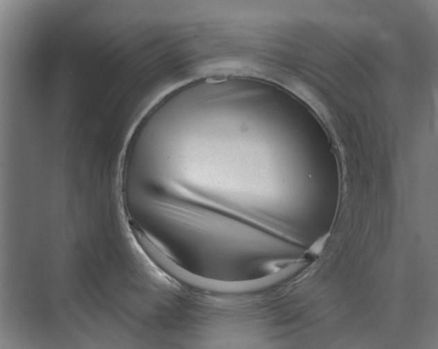 X0000073951392200609111639