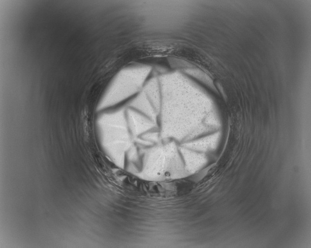 X0000073951394200609111638