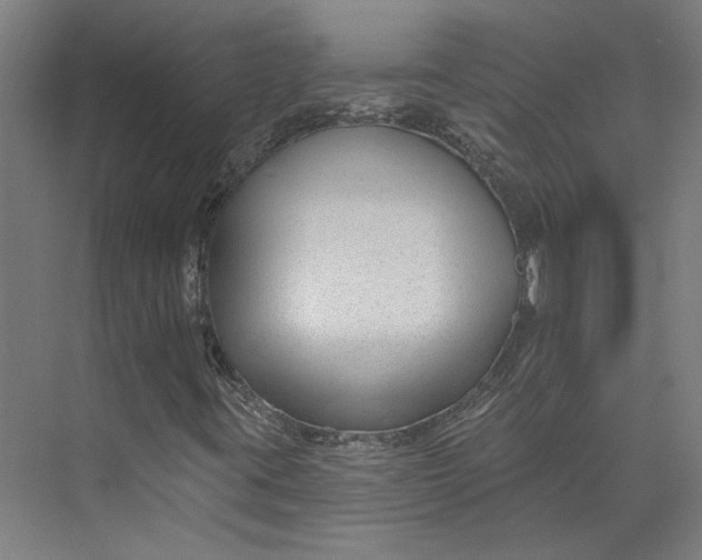 X0000073951395200609111638