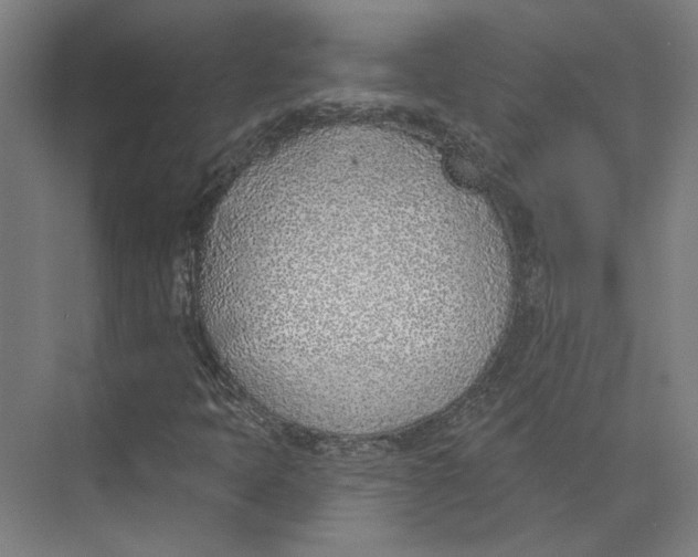 X0000073951397200609111638