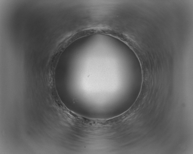 X0000073951398200609111638