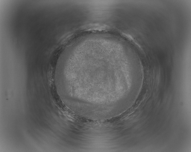 X0000073951399200609111638