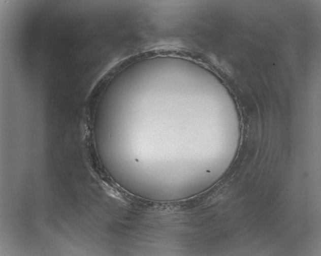 X0000073951400200609111638