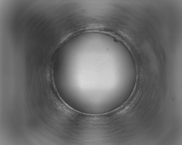 X0000073951401200609111638