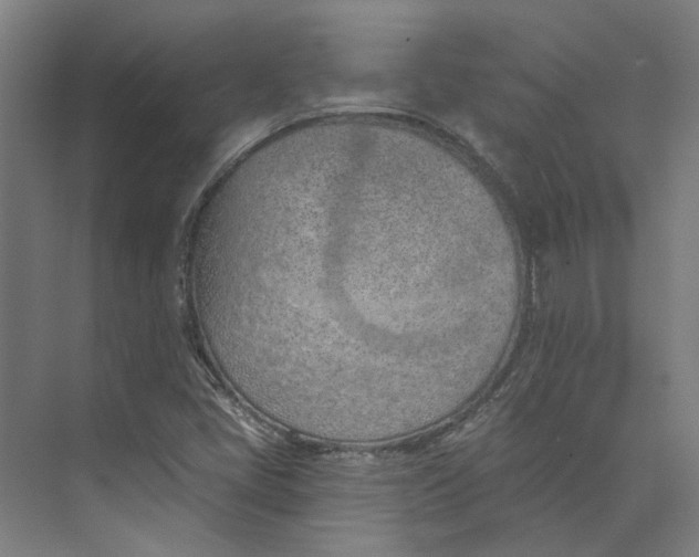 X0000073951405200609111638