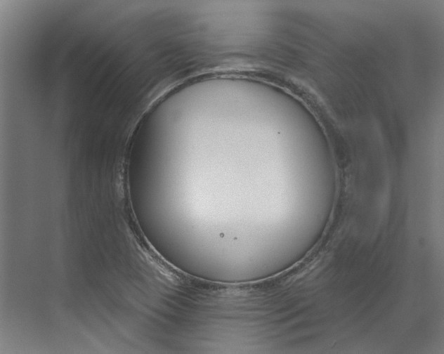 X0000073951409200609111638