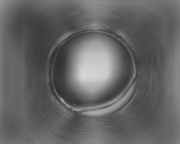 X0000073951410200609111638