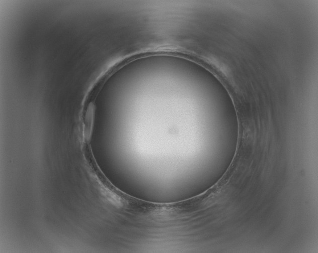 X0000073951414200609111638