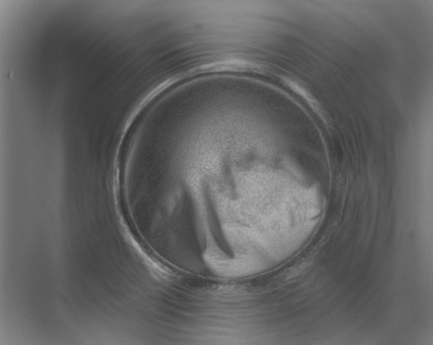 X0000073951418200609111638