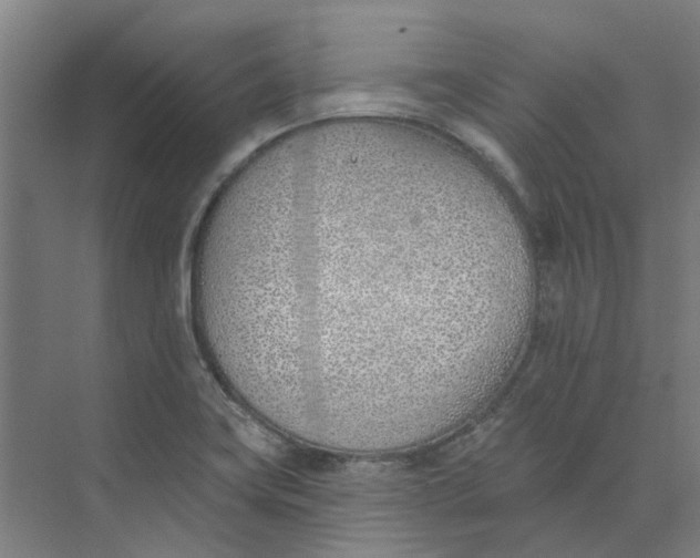 X0000073951419200609111638