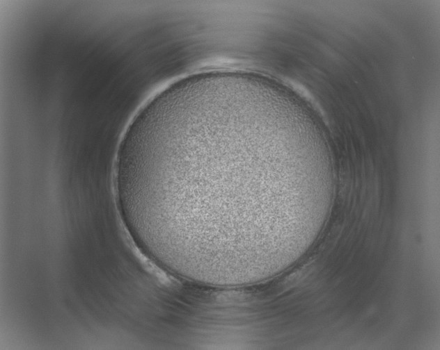 X0000073951421200609111638