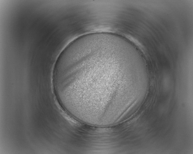 X0000073951423200609111638