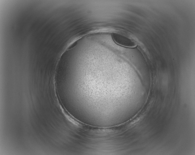 X0000073951425200609111638