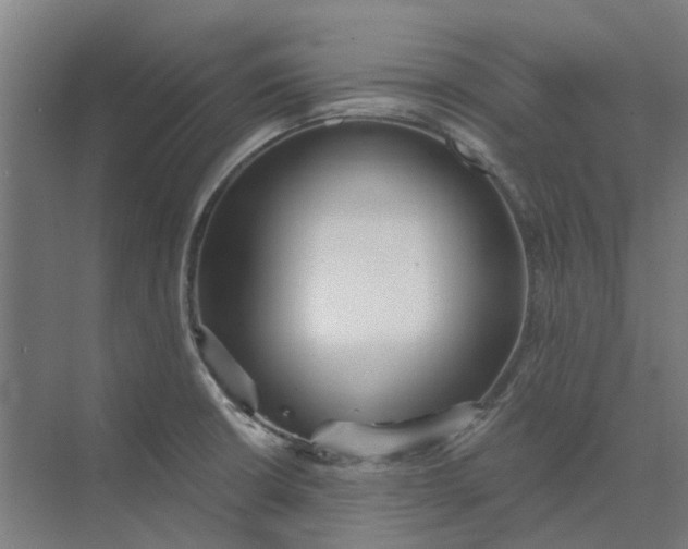 X0000073951426200609111638