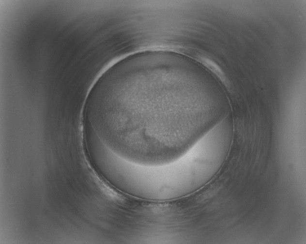 X0000073951428200609111638