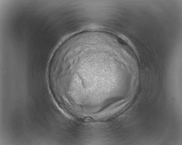 X0000073951429200609111638