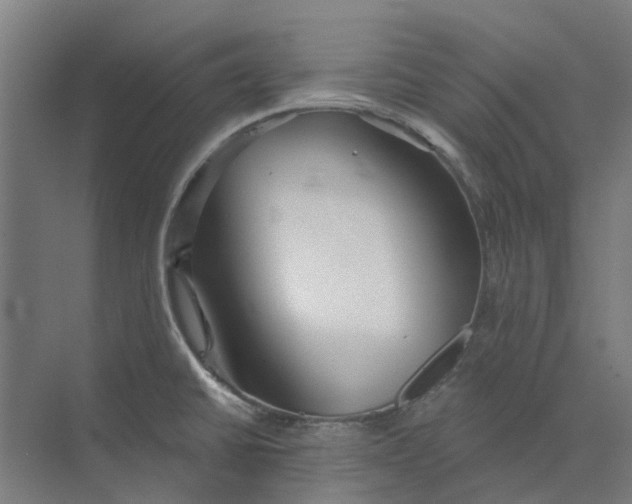 X0000073951430200609111638