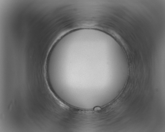 X0000073951432200609111638