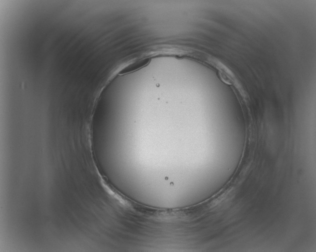 X0000073951433200609111639