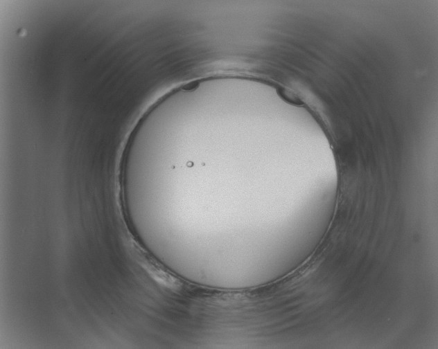 X0000073951435200609111639