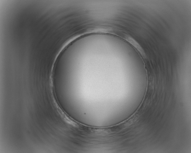 X0000073951436200609111639