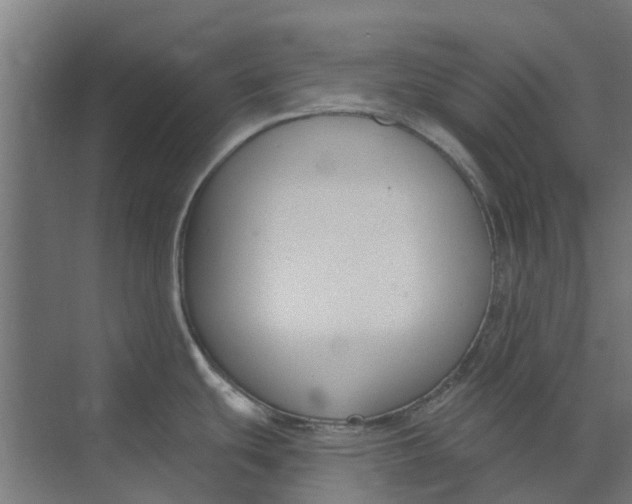 X0000073951439200609111639