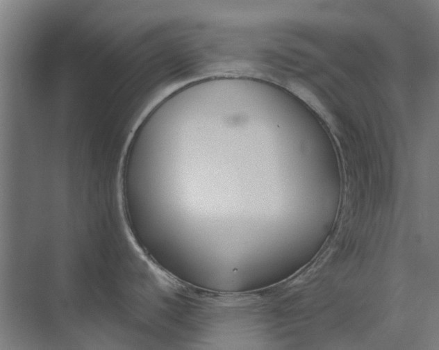 X0000073951440200609111639