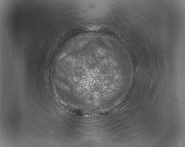 X0000073951441200609111638