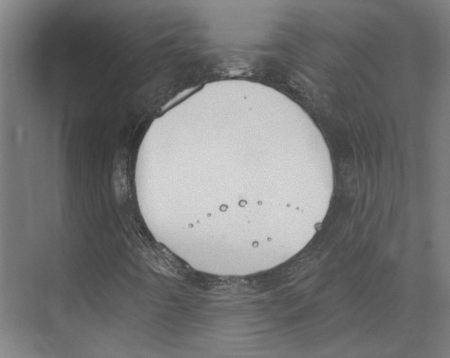 X0000073951442200609111638