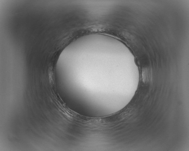 X0000073951444200609111638