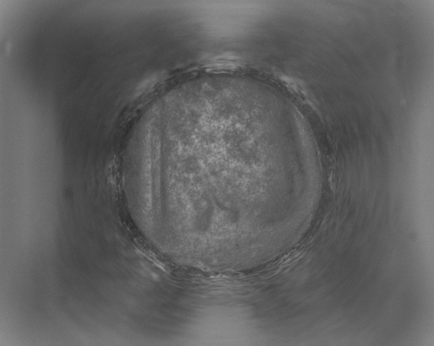 X0000073951445200609111638