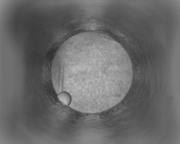 X0000073951446200609111638