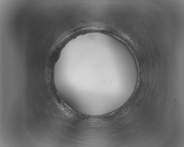 X0000073951448200609111638