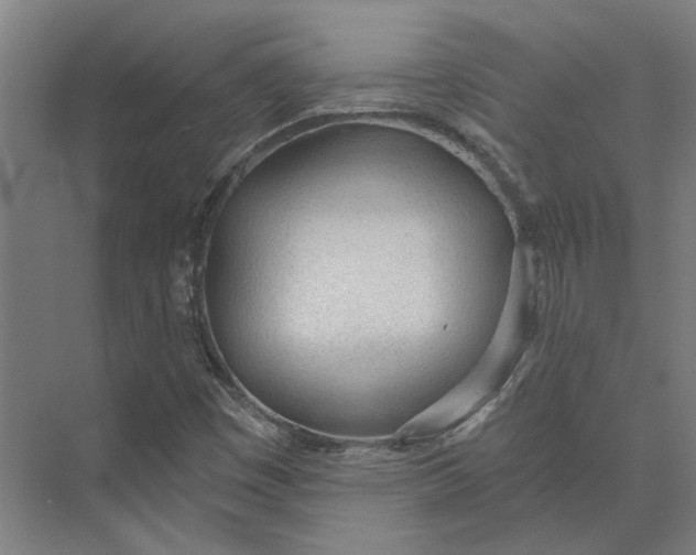 X0000073951449200609111638