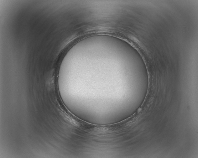 X0000073951450200609111638