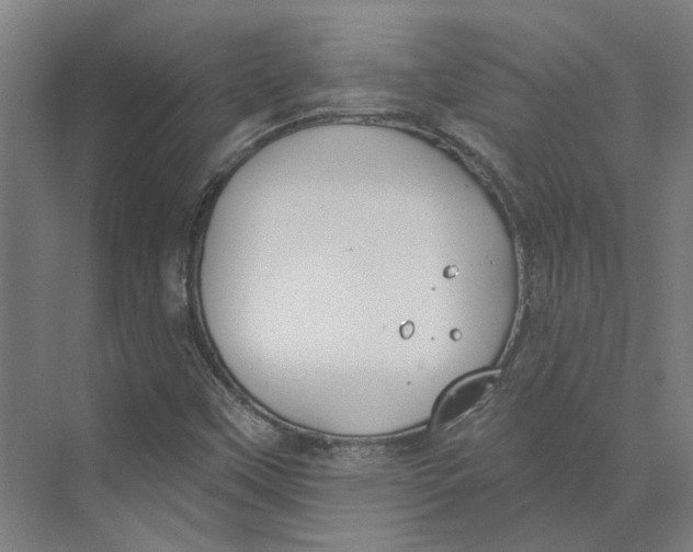 X0000073951451200609111638