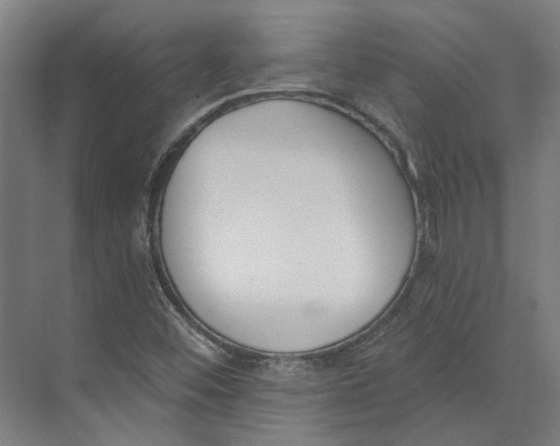 X0000073951452200609111638