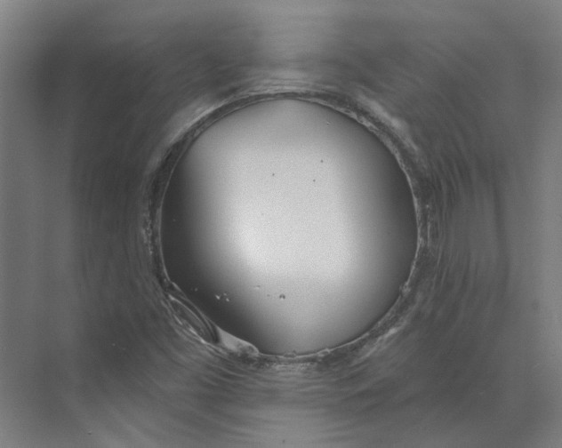 X0000073951453200609111638