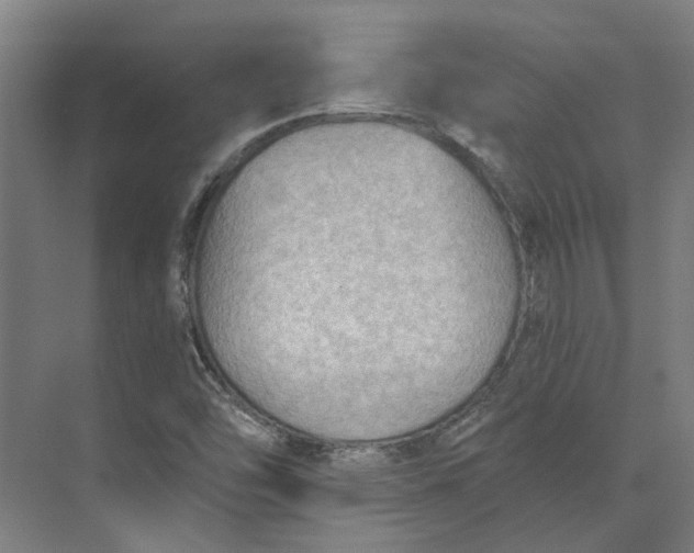 X0000073951454200609111638