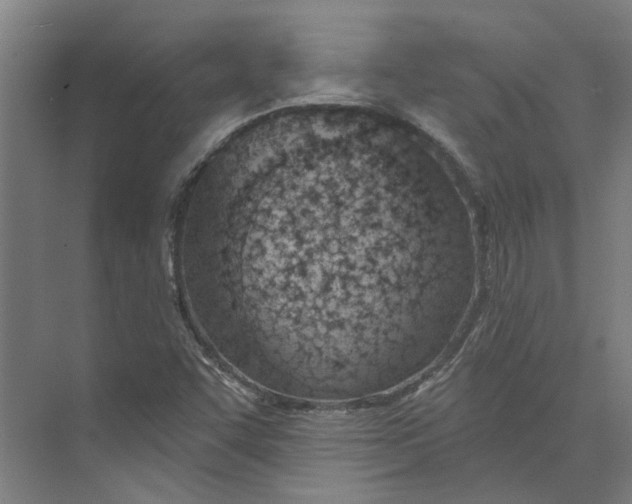 X0000073951455200609111638