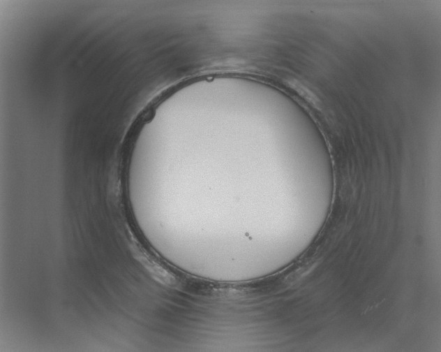 X0000073951458200609111638