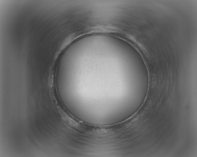 X0000073951459200609111638