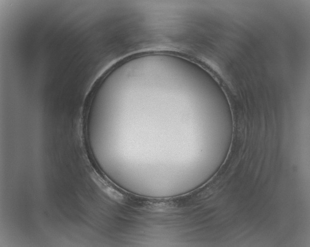 X0000073951460200609111637