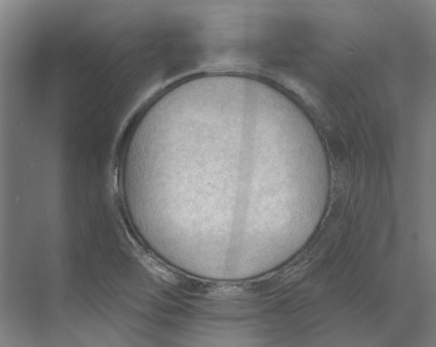 X0000073951462200609111637