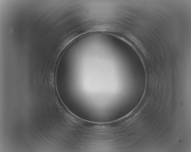 X0000073951465200609111637