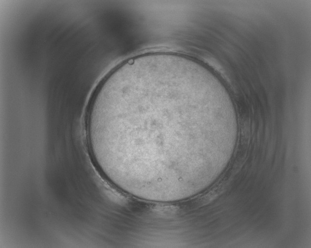 X0000073951466200609111637